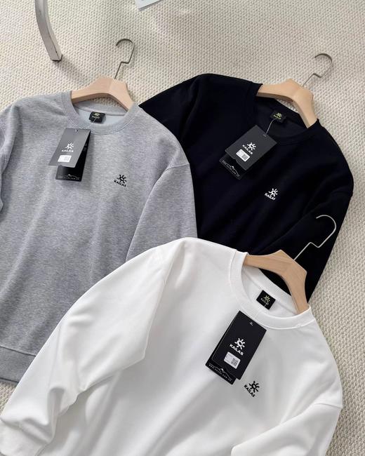 F032739早春新款利落百搭高支纱线刺绣圆领套头休闲卫衣 商品图1