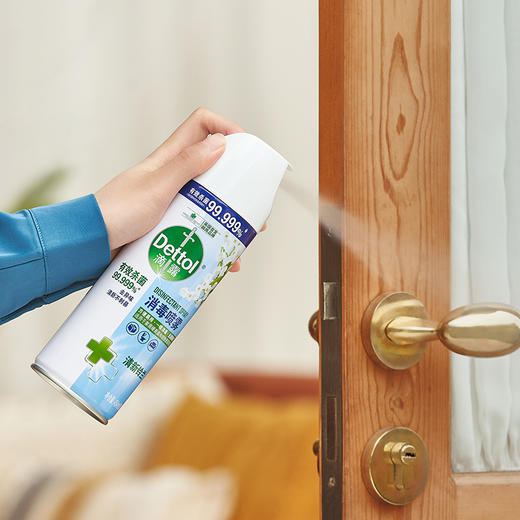 滴露 消毒喷雾清新铃兰454ml(340g) 22211142571 商品图4