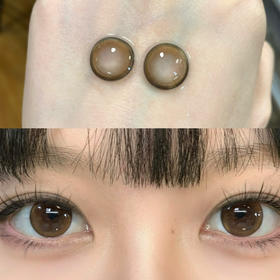 DK339（半年抛）