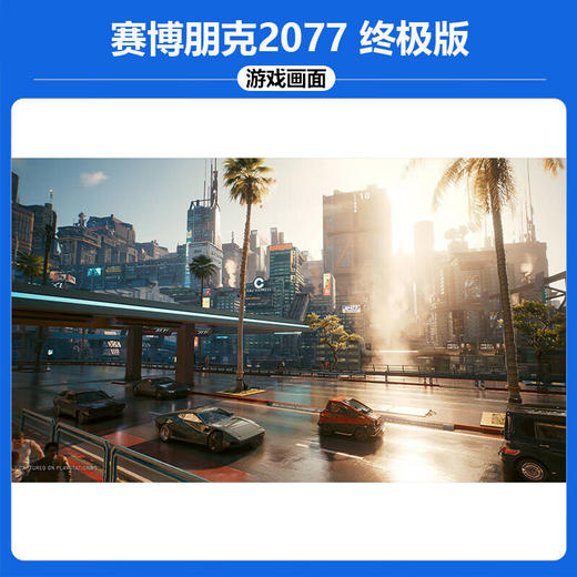 【共享租借】索尼（SONY）PS5 游戏光盘 ps5 赛博朋克 商品图2