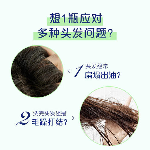 飘柔 家庭护理绿茶长效清爽去油洗发露170g*1瓶 pg-1cpcxqs 商品图4