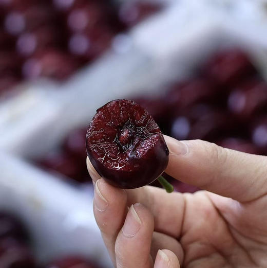 预售11号左右到仓：石家庄优选仓库速达（本周到货）大连美早樱桃4J 脆甜爆汁 果肉厚实 净重2斤礼盒装 商品图3