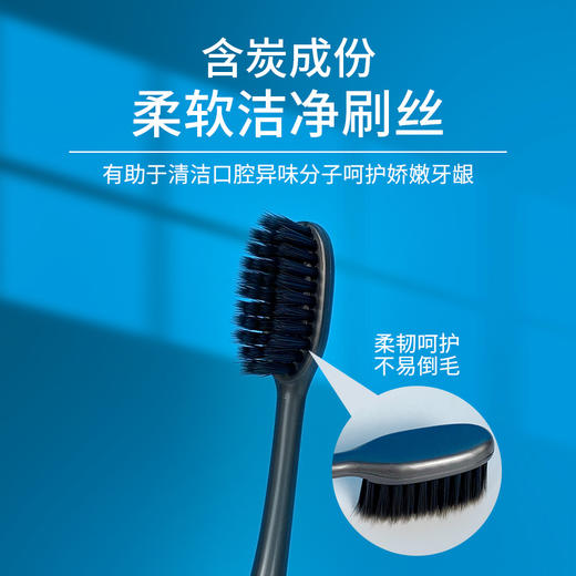 FROG青蛙 柔护系列178B牙刷2支装 QT178B 商品图2