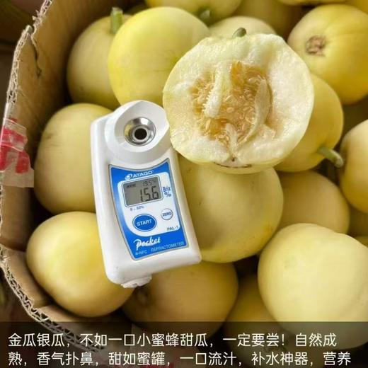 【小蜜蜂甜瓜】嘎嘣脆，贼拉甜， 商品图3