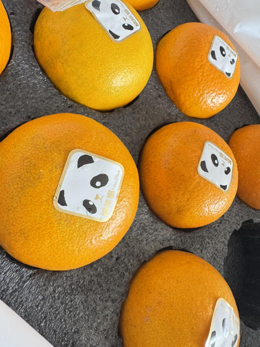 超好吃😋
✨圆滚滚的熊猫橘🐼登场啦！🥰切开瞬间满屏橙黄，果肉饱满超诱人~🤤一口爆汁，甜蜜在舌尖绽放，这波美味必须分享！👍 商品图3