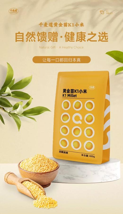 【积分兑换】千麦道当季东北黄金苗K1小米 北纬41°黄金小米 品质保证400g 商品图2