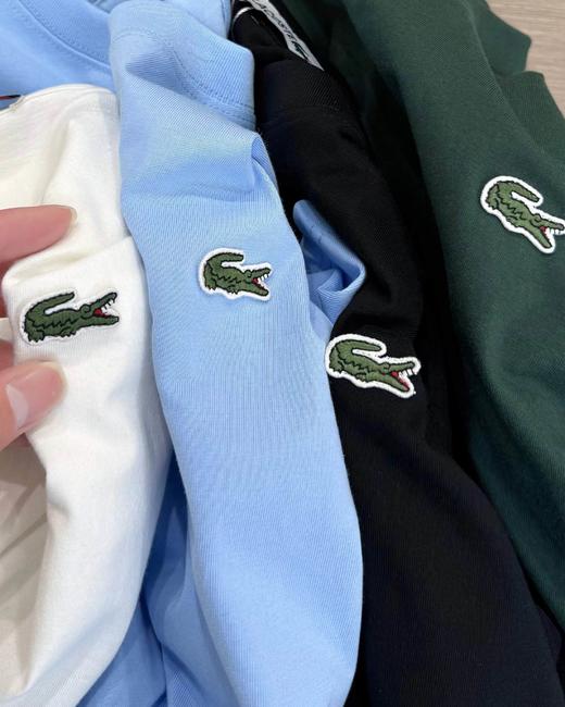 F032772春夏季情侣基础款刺绣logo休闲百搭T恤短袖 商品图4