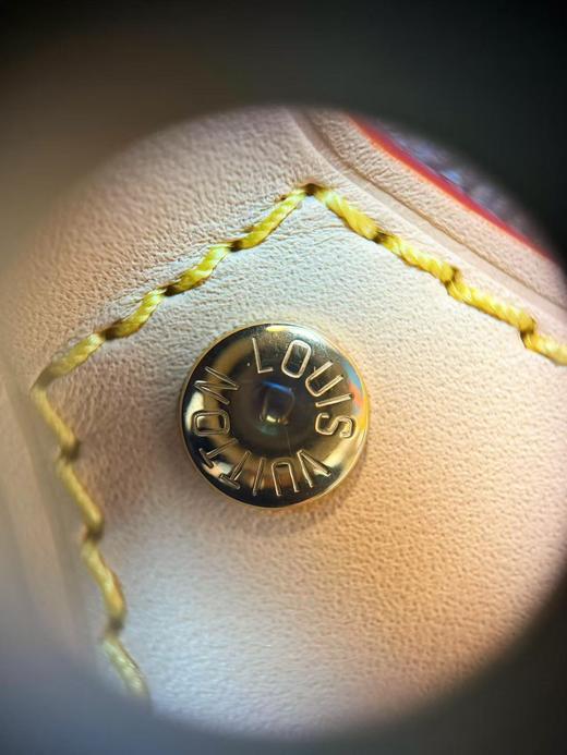 驴家 speedy 20 新款 皮肩带（JPH） 商品图13