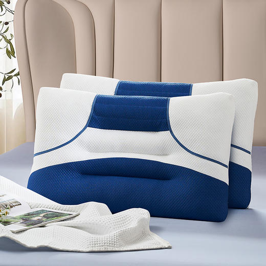 富安娜 决明子牵引对枕 商品图8