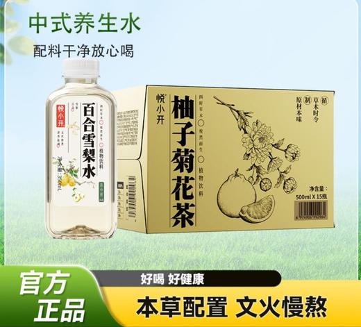 茶小开 柚子菊花茶 500ml*15瓶 商品图0