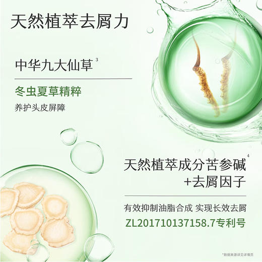 半亩花田 活力去屑洗发水（微风山茶）500g BMHT-707 商品图4