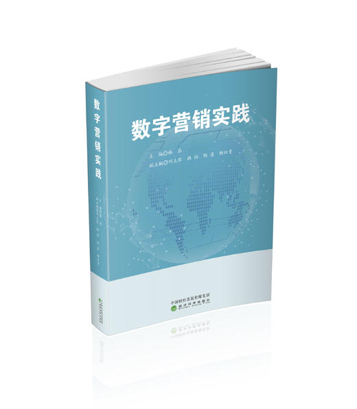 数字营销实践 商品图0