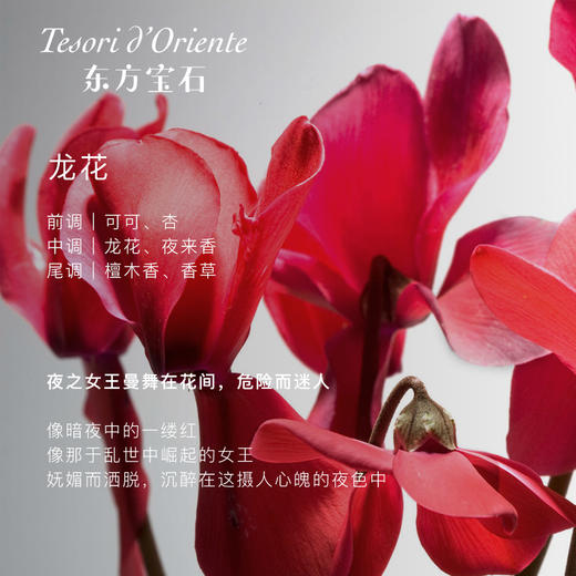 东方宝石 香氛沐浴乳龙花香500ML*2 8008970008783-2 商品图3