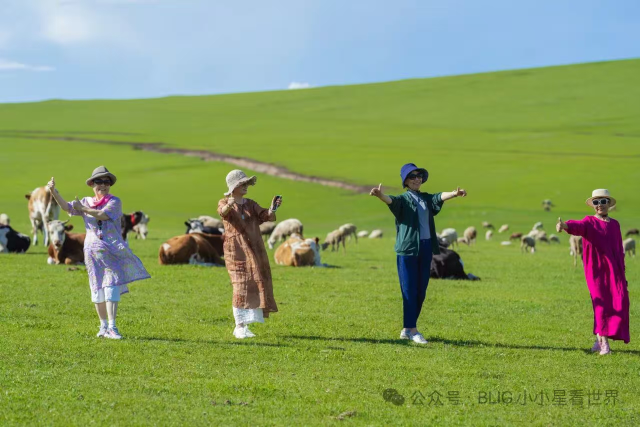 【银发爸妈团】8天7晚有趣有伴有风景，不累不赶不匆忙。定金专拍