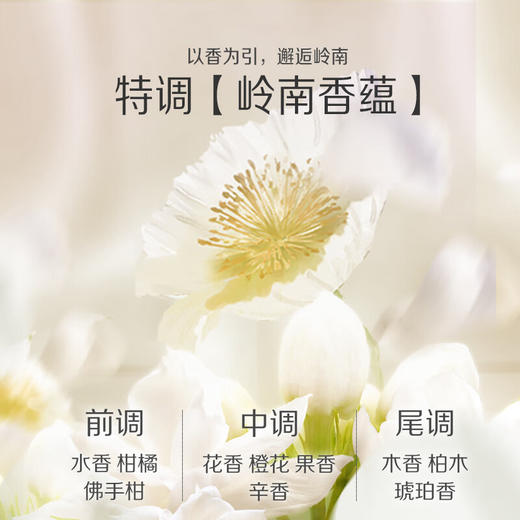 ADOLPH阿道夫 广州塔联名款香氛专研氨基酸沐浴露500ml adf500my 商品图2