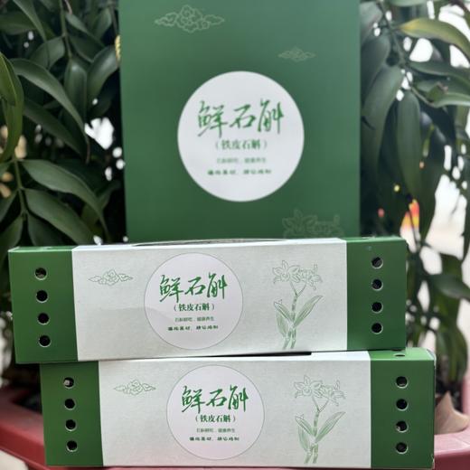 铁皮石斛鲜条【云南深山仿野生种植】 商品图5