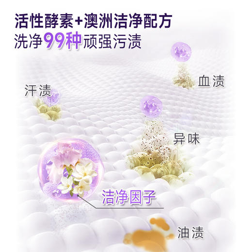 Veemill维妙 瓶装鸢尾香氛洗衣液5kg 9352257001790 商品图3