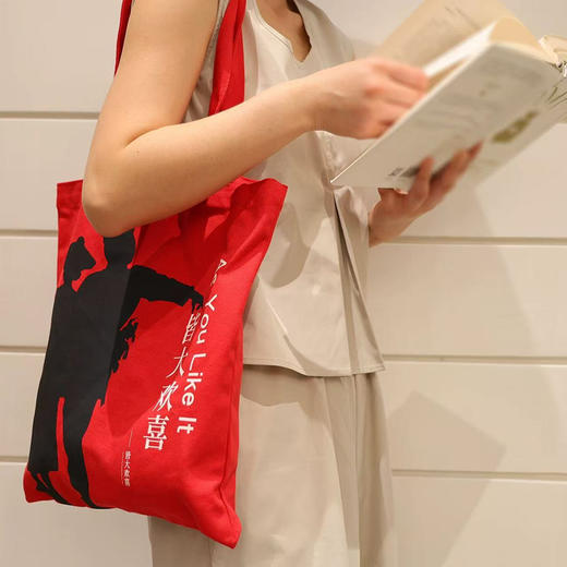 莎士比亚系列帆布袋  文创 单肩包 手提袋 中央编译出版社 商品图6