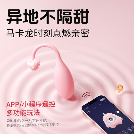 安可尼 马卡龙跳蛋蓄电收纳 商品图3