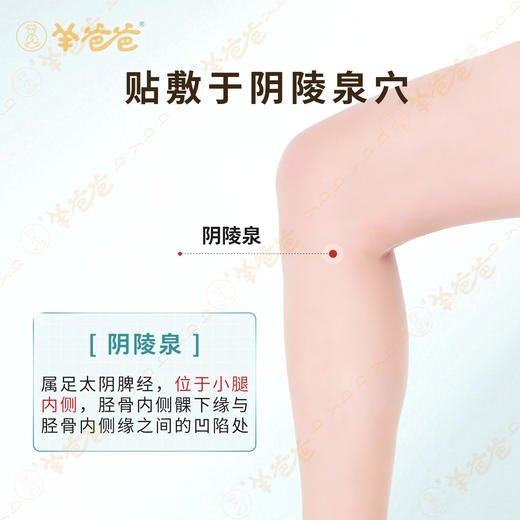 【轻清茯湿贴】草本膏贴 贴走粘腻感 商品图3