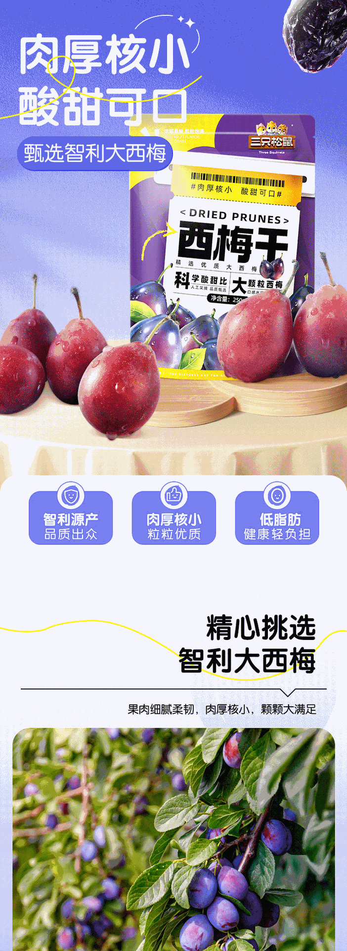 gWyWj/+nzNTvS8WG2Vtdg4tb/ZupT2oqC3pL