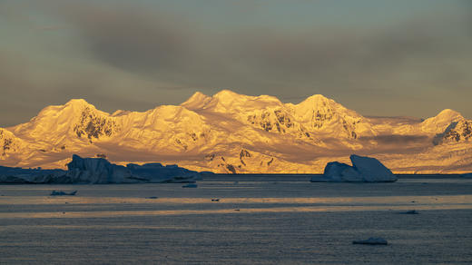 南极三岛「早鸟价8折，优惠高达4万元」福克兰群岛、南极半岛、南乔治亚岛26天摄影之旅 商品图5