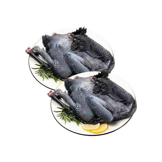 买一送一 白凤乌鸡 2-2.5斤/只 现宰现发 A-5889 田园居 商品图0