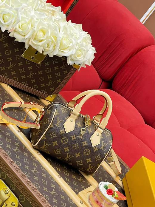 驴家 speedy 20 新款 皮肩带（JPH） 商品图1