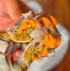 🦀️舟山野生海捕红膏蟹，来自大海的馈赠，新鲜捕捞，码头直发，顺丰空运✈️到家（只只挑肥美鲜活的发货，保鲜不保活） 商品缩略图1
