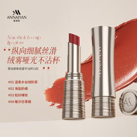 英国annaiyan安奈颜 黑钻聚焦哑雾不沾杯口红 4款型号可选