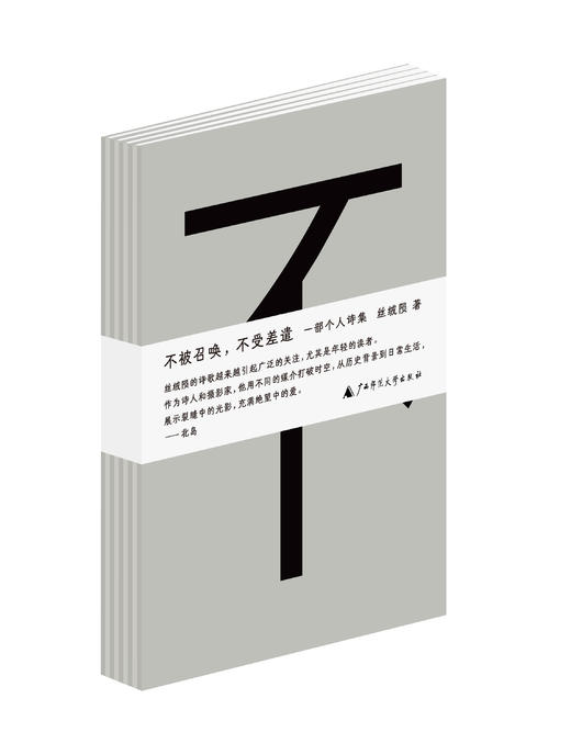 不被召唤，不受差遣 | 诗人丝绒陨个人诗集 商品图0