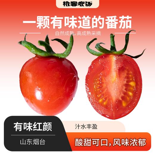 有味小番茄 | 酸甜风味足，汁水丰盈，⭐️京东快递 商品图0