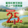 番倍爱·100%NFC三国有机认证有机番茄汁 多规格可选 商品缩略图2