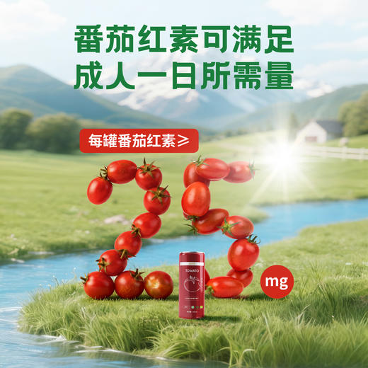 番倍爱·100%NFC三国有机认证有机番茄汁 多规格可选 商品图2