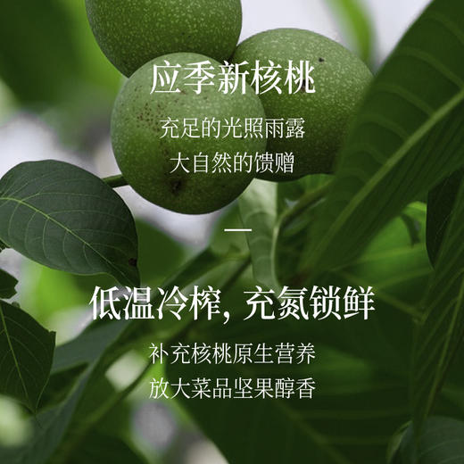 晟麦0反式有机核桃油 1L/瓶 商品图2