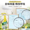 芊洁净 空调清洁剂（5瓶装+2泵头）500ml*5 6973025871020-5 商品缩略图4