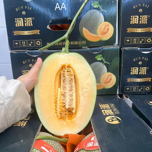 千源晓蜜  哈密瓜  🍈脆甜可口 35/个大果 约3.5斤一个 商品图0