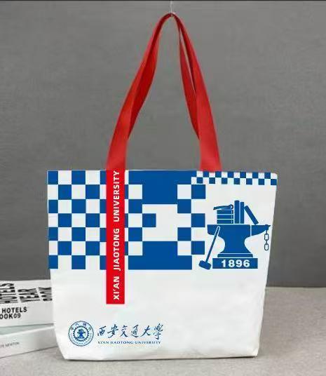 杜邦纸袋-格子蓝 商品图0