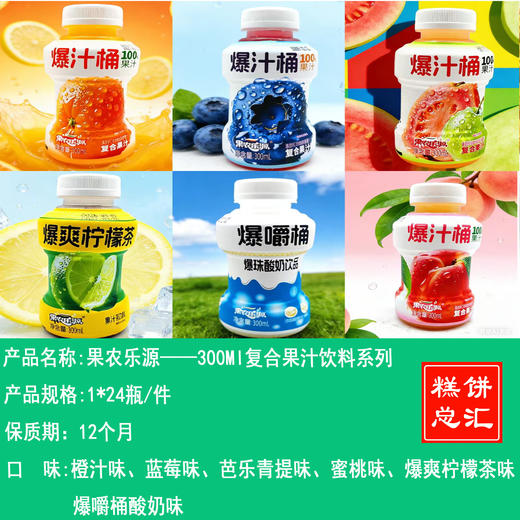 果农乐源——300Ml复合果汁饮料系列   保质期12个月 商品图0