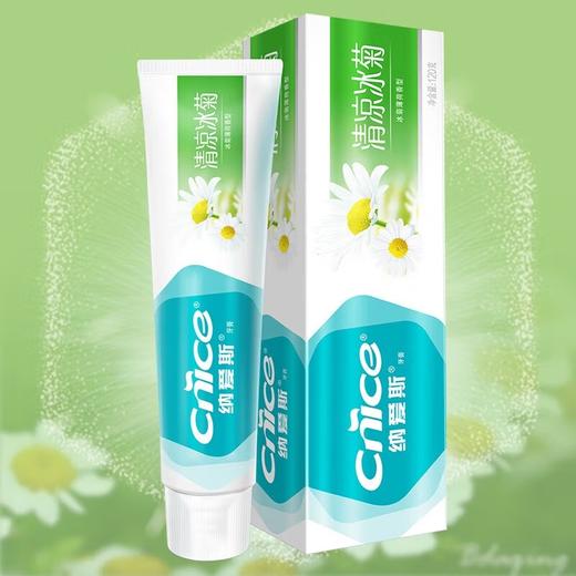 纳爱斯 清新鲜果牙膏120g+清凉冰菊牙膏120g 6910019019181-2 商品图4