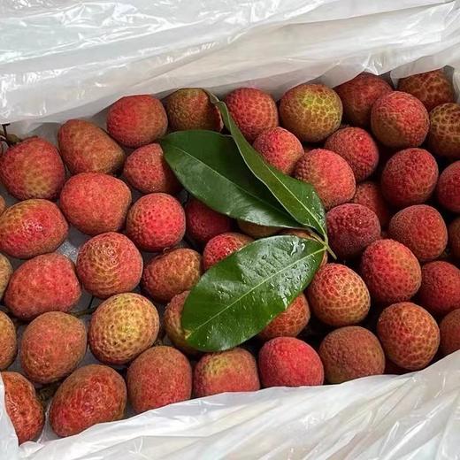 【会员68/斤】鲁宏农业海南空运老树桂花香荔枝 商品图2