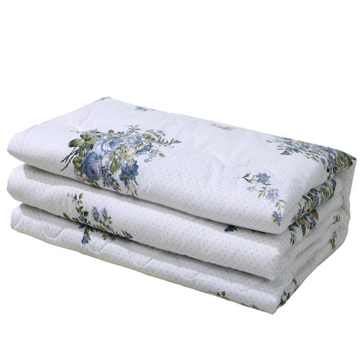 富安娜 慕光之城抗菌桑蚕丝被200*230cm(300g) 商品图2