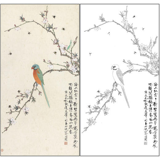 工笔画白描底稿于非闇花鸟《鹦哥报春》临摹勾线高清打印稿FA75 商品图0