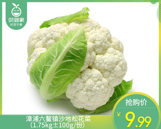 漳浦六鳌镇沙地松花菜（1.75kg±100g/份） 商品图0