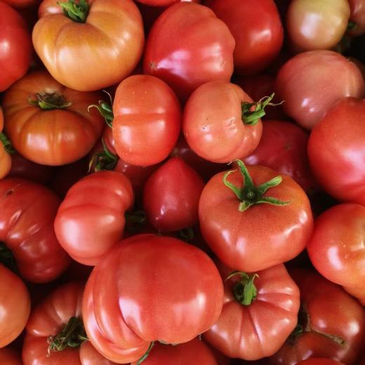 【限量福利29.99元/3斤包邮】鸿翠园 有机西红柿 沙瓤有籽180天自然成熟 商品图4