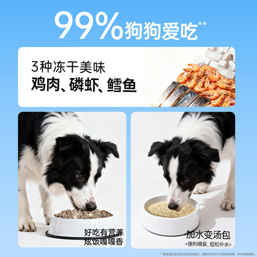 活力泰肠胃呵护冻干粉调理肠胃改善软便宠物益生菌补水汤包犬专用 商品图4