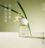 茶香师/花茶系列香水 商品缩略图0