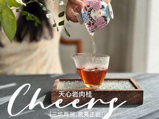 【春茶特惠集市】2025天心岩肉桂，桂皮香、蜜桃香、果香、木质香，超长待机，15冲后尾水还带着甜 商品图8