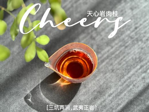 【春茶特惠集市】2025天心岩肉桂，桂皮香、蜜桃香、果香、木质香，超长待机，15冲后尾水还带着甜 商品图11