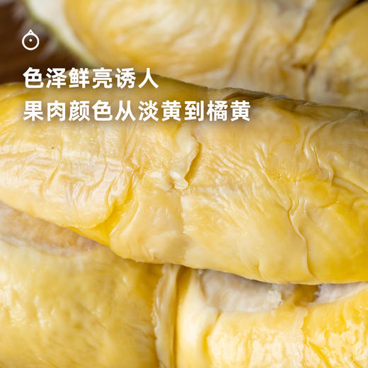 企鹅市集|马来西亚液氮冷冻榴莲 小众品种「红虾」 质地紧致浓郁焦糖奶香 甜蜜十足 商品图2